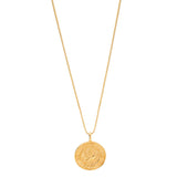 Colar Andorinha Banho de Ouro