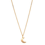 Colar Moon Banho de Ouro